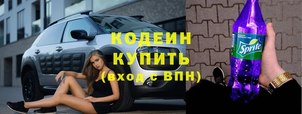 прущие грибы Алзамай