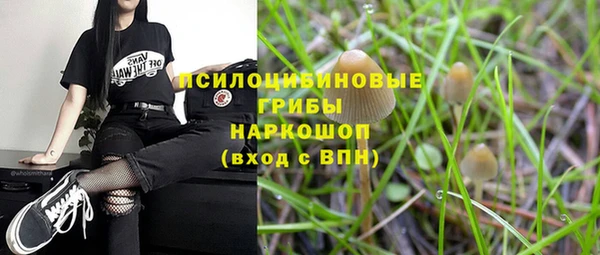 прущие грибы Алзамай