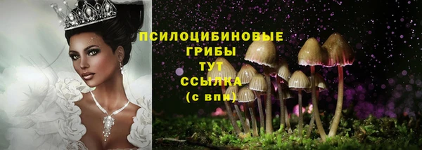 ГАЛЛЮЦИНОГЕННЫЕ ГРИБЫ Алексин