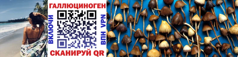 блэк спрут рабочий сайт  Сосенский  Галлюциногенные грибы Psilocybe 